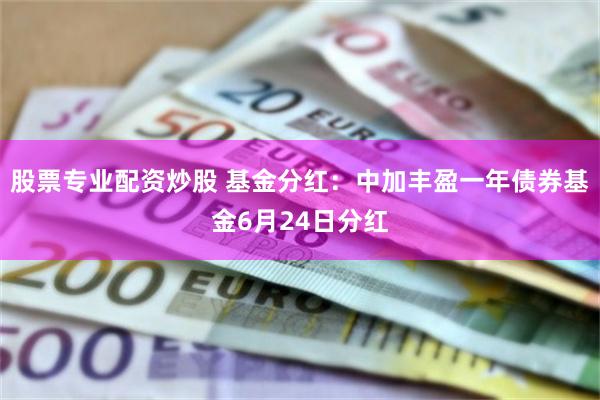 股票专业配资炒股 基金分红：中加丰盈一年债券基金6月24日分