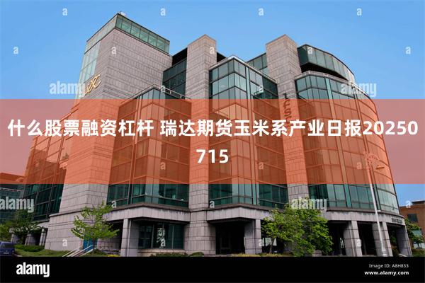 什么股票融资杠杆 瑞达期货玉米系产业日报20250715
