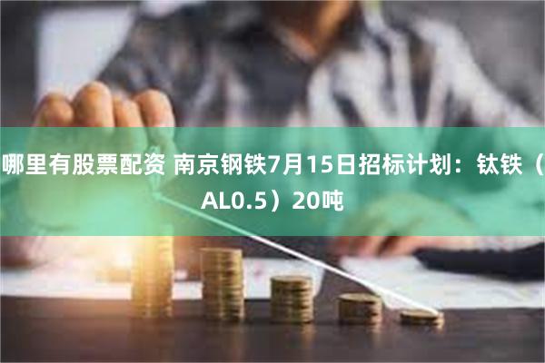 哪里有股票配资 南京钢铁7月15日招标计划：钛铁（AL0.5）20吨