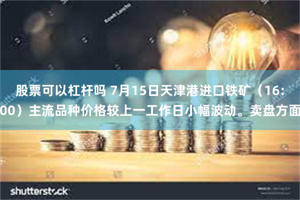 股票可以杠杆吗 7月15日天津港进口铁矿（16:00）主流品种价格较上一工作日小幅波动。卖盘方面