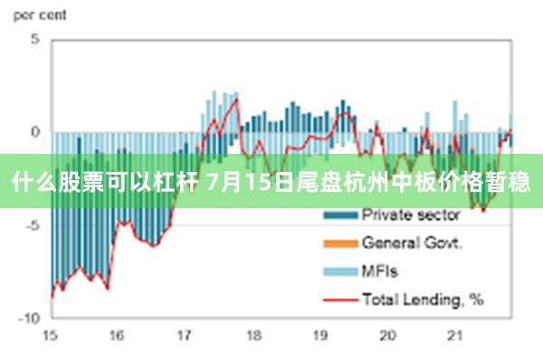 什么股票可以杠杆 7月15日尾盘杭州中板价格暂稳