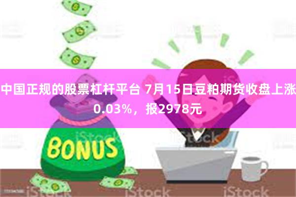 中国正规的股票杠杆平台 7月15日豆粕期货收盘上涨0.03%，报2978元