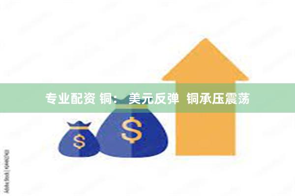 专业配资 铜： 美元反弹  铜承压震荡