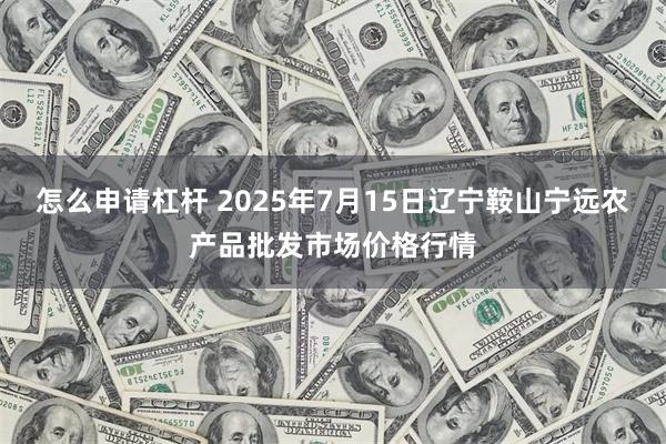 怎么申请杠杆 2025年7月15日辽宁鞍山宁远农产品批发市场价格行情