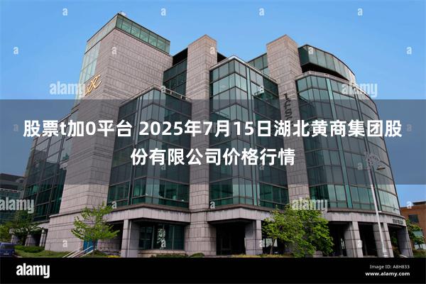 股票t加0平台 2025年7月15日湖北黄商集团股份有限公司价格行情