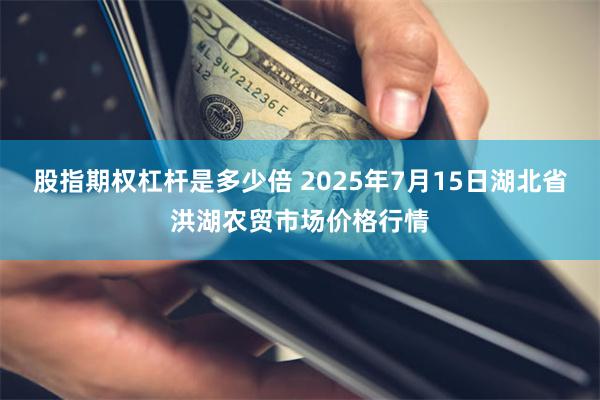 股指期权杠杆是多少倍 2025年7月15日湖北省洪湖农贸市场价格行情