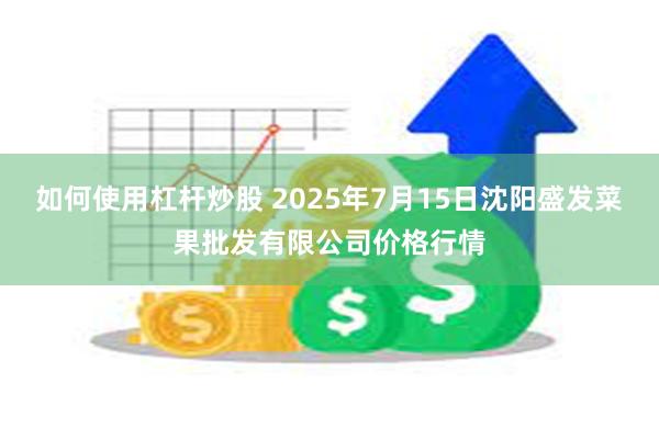 如何使用杠杆炒股 2025年7月15日沈阳盛发菜果批发有限公司价格行情