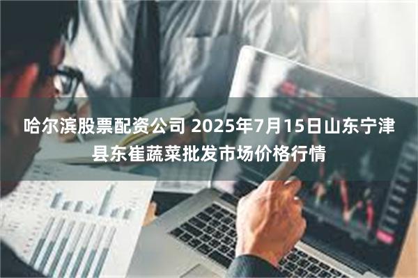 哈尔滨股票配资公司 2025年7月15日山东宁津县东崔蔬菜批发市场价格行情