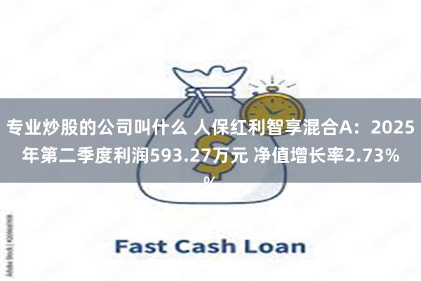 专业炒股的公司叫什么 人保红利智享混合A：2025年第二季度利润593.27万元 净值增长率2.73%