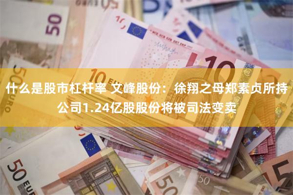 什么是股市杠杆率 文峰股份：徐翔之母郑素贞所持公司1.24亿股股份将被司法变卖