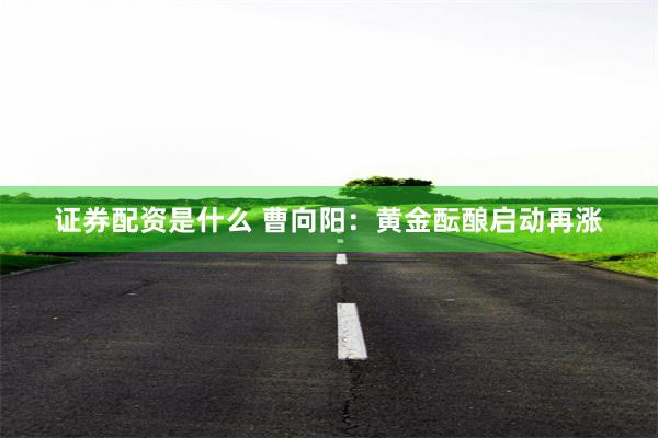 证券配资是什么 曹向阳：黄金酝酿启动再涨