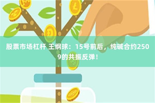 股票市场杠杆 王纲球：15号前后，纯碱合约2509的共振反弹！