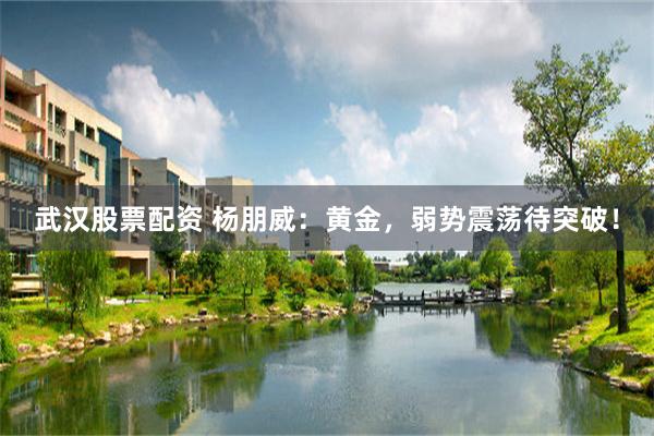 武汉股票配资 杨朋威：黄金，弱势震荡待突破！