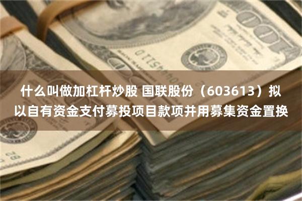 什么叫做加杠杆炒股 国联股份（603613）拟以自有资金支付募投项目款项并用募集资金置换