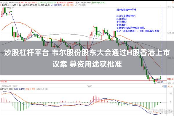 炒股杠杆平台 韦尔股份股东大会通过H股香港上市议案 募资用途获批准