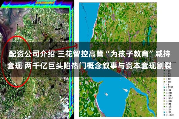 配资公司介绍 三花智控高管“为孩子教育”减持套现 两千亿巨头陷热门概念叙事与资本套现割裂