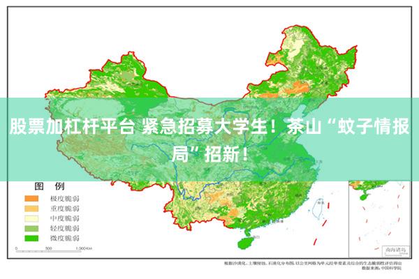 股票加杠杆平台 紧急招募大学生！茶山“蚊子情报局”招新！