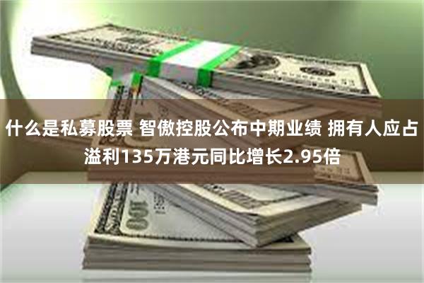 什么是私募股票 智傲控股公布中期业绩 拥有人应占溢利135万港元同比增长2.95倍
