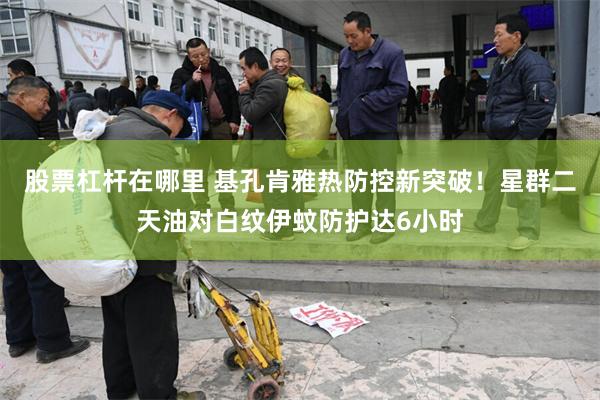 股票杠杆在哪里 基孔肯雅热防控新突破！星群二天油对白纹伊蚊防护达6小时