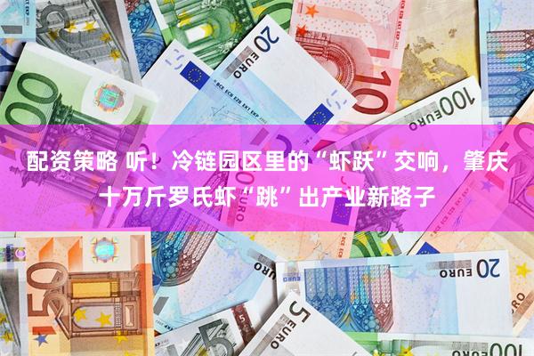 配资策略 听！冷链园区里的“虾跃”交响，肇庆十万斤罗氏虾“跳”出产业新路子