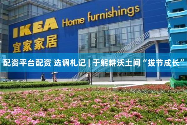 配资平台配资 选调札记 | 于躬耕沃土间“拔节成长”