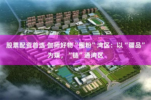 股票配资首选 伽师好物“圈粉”湾区：以“疆品”为媒，“链”通湾区
