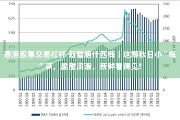 香港股票交易杠杆 新疆喀什西梅丨这颗秋日小“梅”满,脆甜润滑,新鲜看得见!