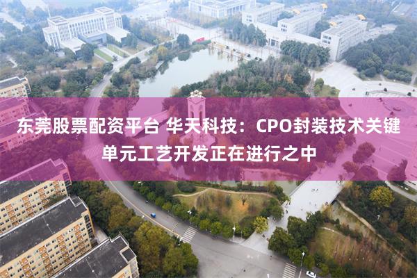 东莞股票配资平台 华天科技：CPO封装技术关键单元工艺开发正在进行之中