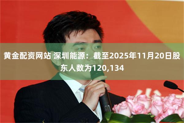黄金配资网站 深圳能源：截至2025年11月20日股东人数为120,134