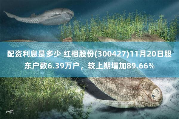 配资利息是多少 红相股份(300427)11月20日股东户数6.39万户，较上期增加89.66%