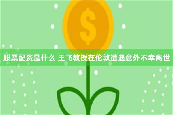 股票配资是什么 王飞教授在伦敦遭遇意外不幸离世
