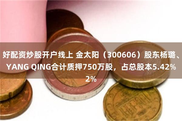 好配资炒股开户线上 金太阳（300606）股东杨璐、YANG QING合计质押750万股，占总股本5.42%