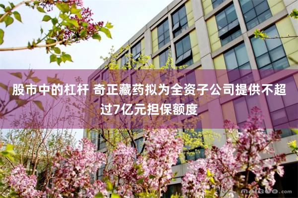 股市中的杠杆 奇正藏药拟为全资子公司提供不超过7亿元担保额度