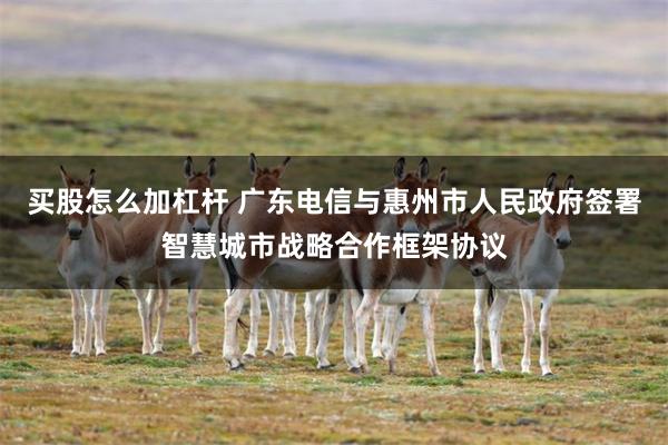 买股怎么加杠杆 广东电信与惠州市人民政府签署智慧城市战略合作框架协议