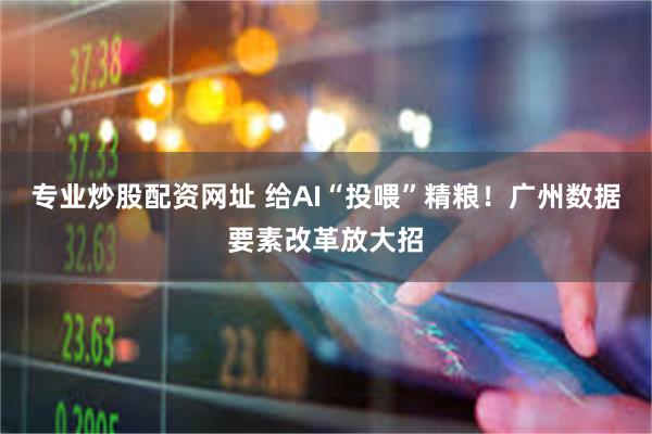 专业炒股配资网址 给AI“投喂”精粮！广州数据要素改革放大招