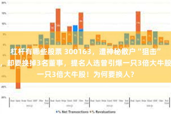 杠杆有哪些股票 300163，遭神秘散户“狙击”：持股只超1%，却要换掉3名董事，提名人选曾引爆一只3倍大牛股！为何要换人？