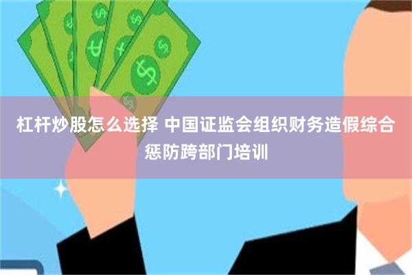 杠杆炒股怎么选择 中国证监会组织财务造假综合惩防跨部门培训
