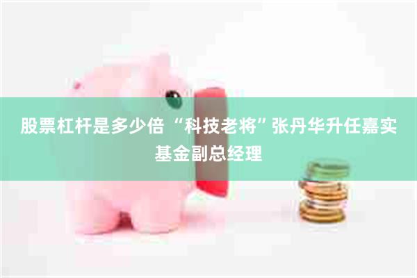 股票杠杆是多少倍 “科技老将”张丹华升任嘉实基金副总经理