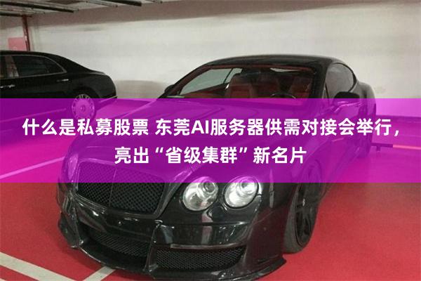 什么是私募股票 东莞AI服务器供需对接会举行，亮出“省级集群”新名片