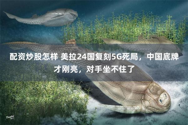 配资炒股怎样 美拉24国复刻5G死局，中国底牌才刚亮，对手坐不住了