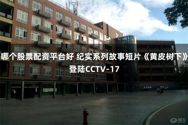 哪个股票配资平台好 纪实系列故事短片《黄皮树下》登陆CCTV-17