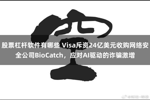 股票杠杆软件有哪些 Visa斥资24亿美元收购网络安全公司BioCatch，应对AI驱动的诈骗激增