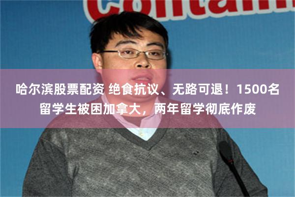 哈尔滨股票配资 绝食抗议、无路可退！1500名留学生被困加拿大，两年留学彻底作废