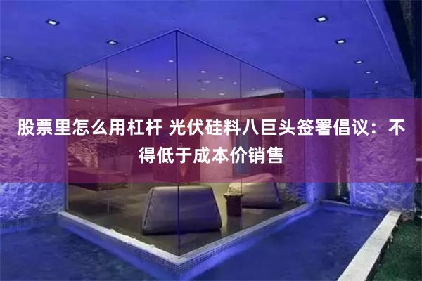 股票里怎么用杠杆 光伏硅料八巨头签署倡议:不得低于成本价销售