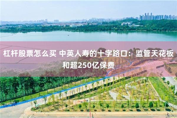 杠杆股票怎么买 中英人寿的十字路口：监管天花板和超250亿保费