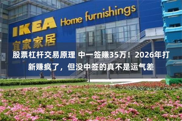 股票杠杆交易原理 中一签赚35万！2026年打新赚疯了，但没中签的真不是运气差