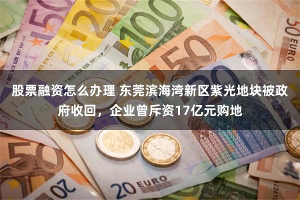 股票融资怎么办理 东莞滨海湾新区紫光地块被政府收回,企业曾斥资17亿元购地