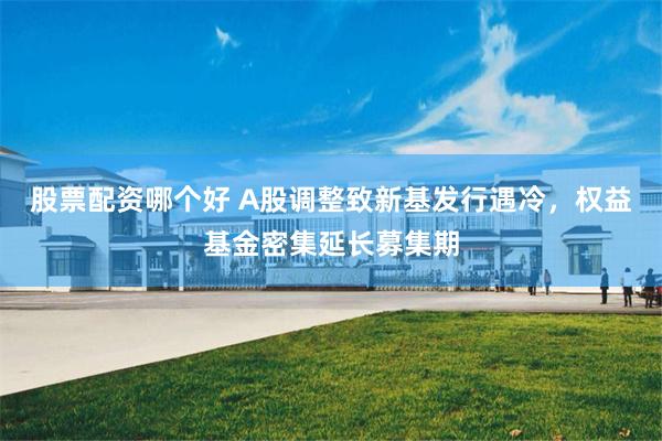 股票配资哪个好 A股调整致新基发行遇冷，权益基金密集延长募集期