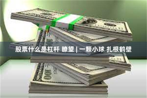 股票什么是杠杆 瞭望 | 一颗小球 扎根鹤壁
