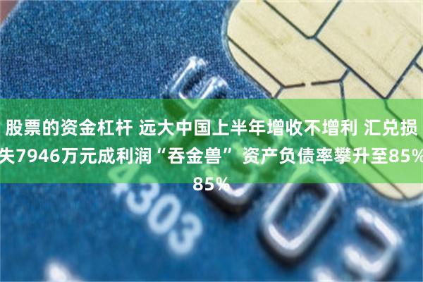 股票的资金杠杆 远大中国上半年增收不增利 汇兑损失7946万元成利润“吞金兽” 资产负债率攀升至85%